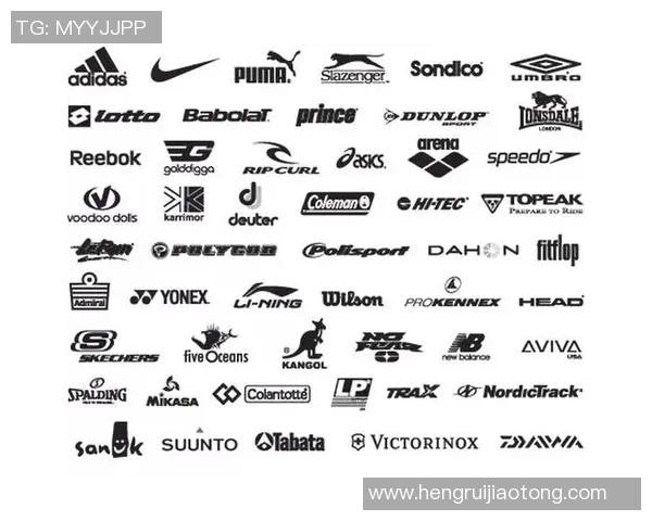 全面解析全球知名体育运动品牌及其特色产品一览